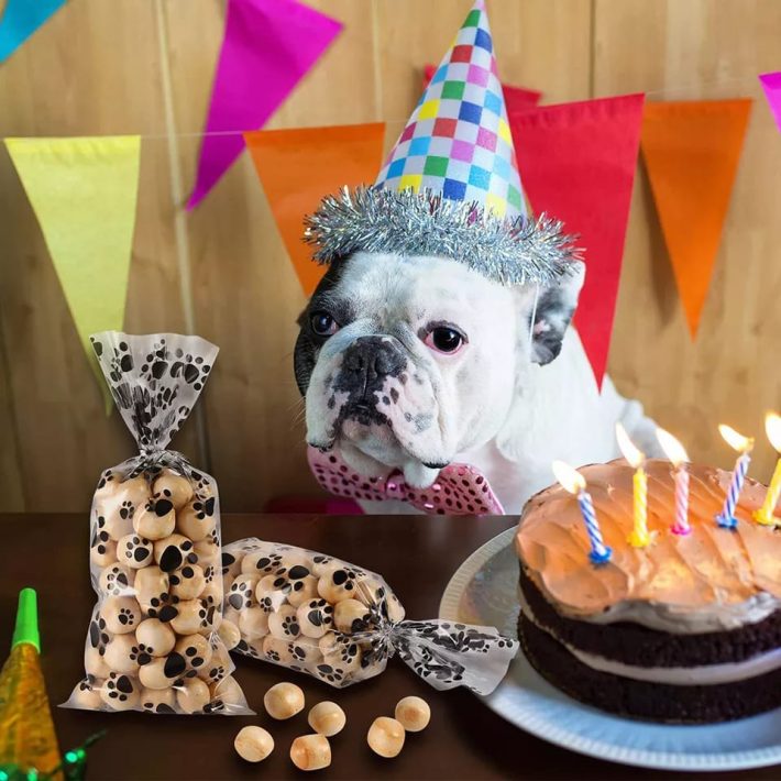 100 Bolsas Patitas 13x27 con amarras